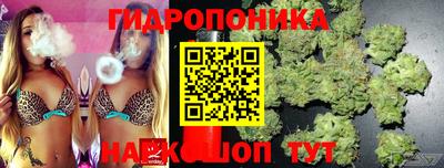 крисы Уссурийск