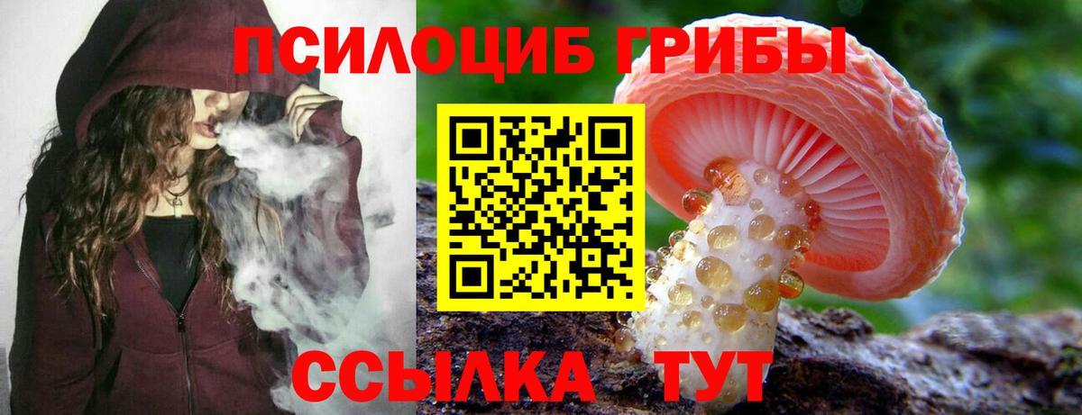Псилоцибиновые грибы прущие грибы Жигулёвск