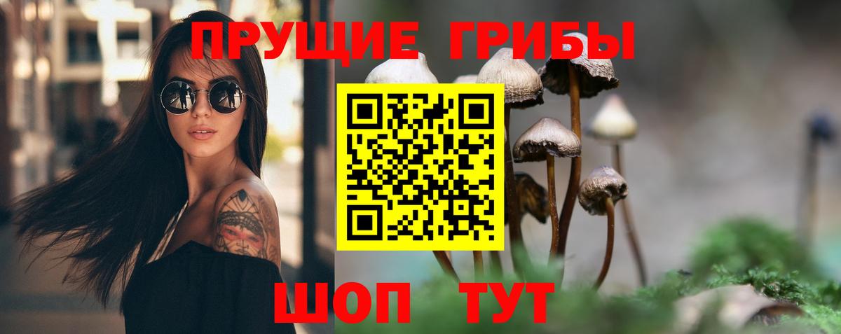 Жигулёвск  Псилоцибиновые грибы мухоморы  Вход с VPN  Псилоцибиновые грибы Cubensis 